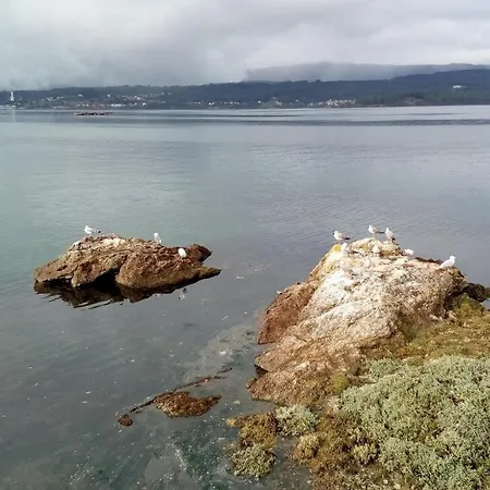 Apartamento De Una En Rianxo, Con Magnificas Vistas Al Mar, Terraz... Lägenhet